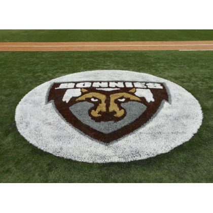 Artificial Turf Logo and Design