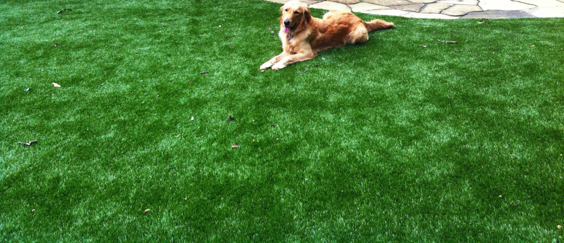 Backyard Pet Turf DIY